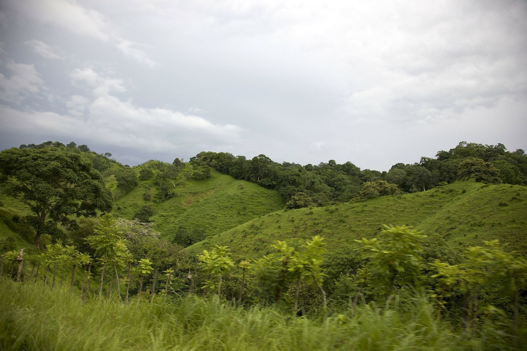 Panama